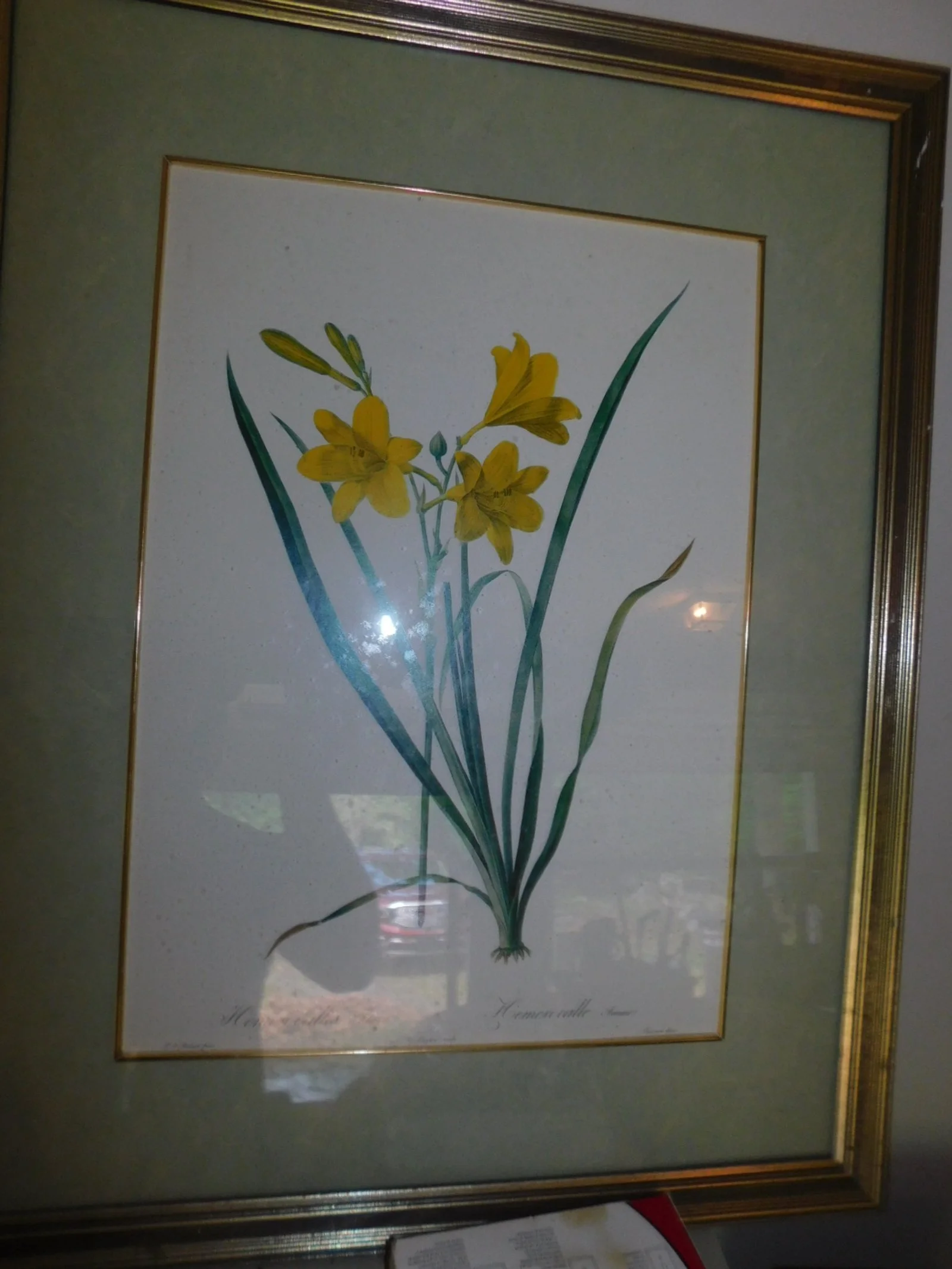 DSCN6662.JPG