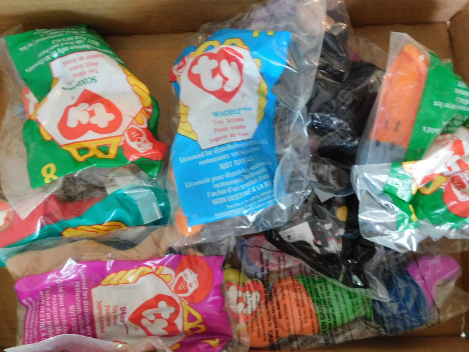 DSCN6686.JPG