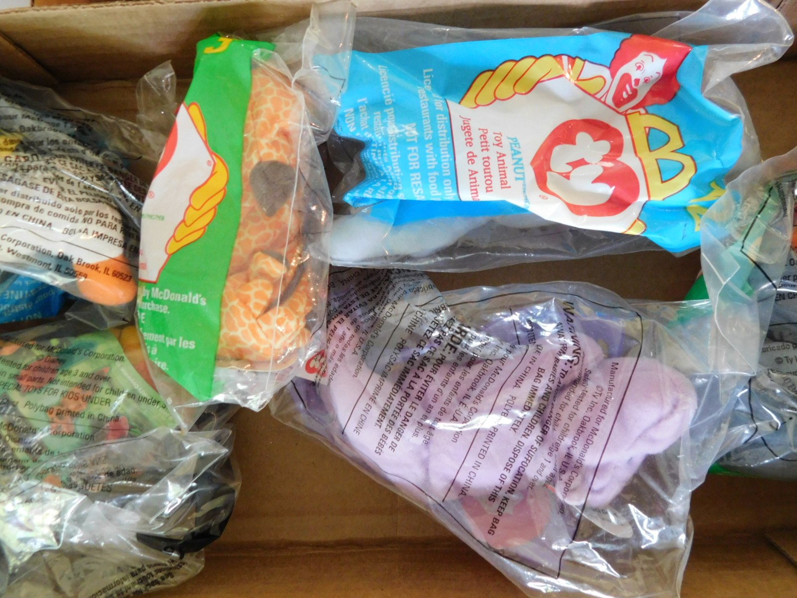 DSCN6687.JPG