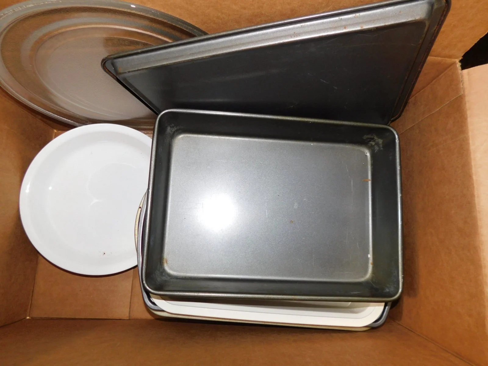 DSCN6717.JPG