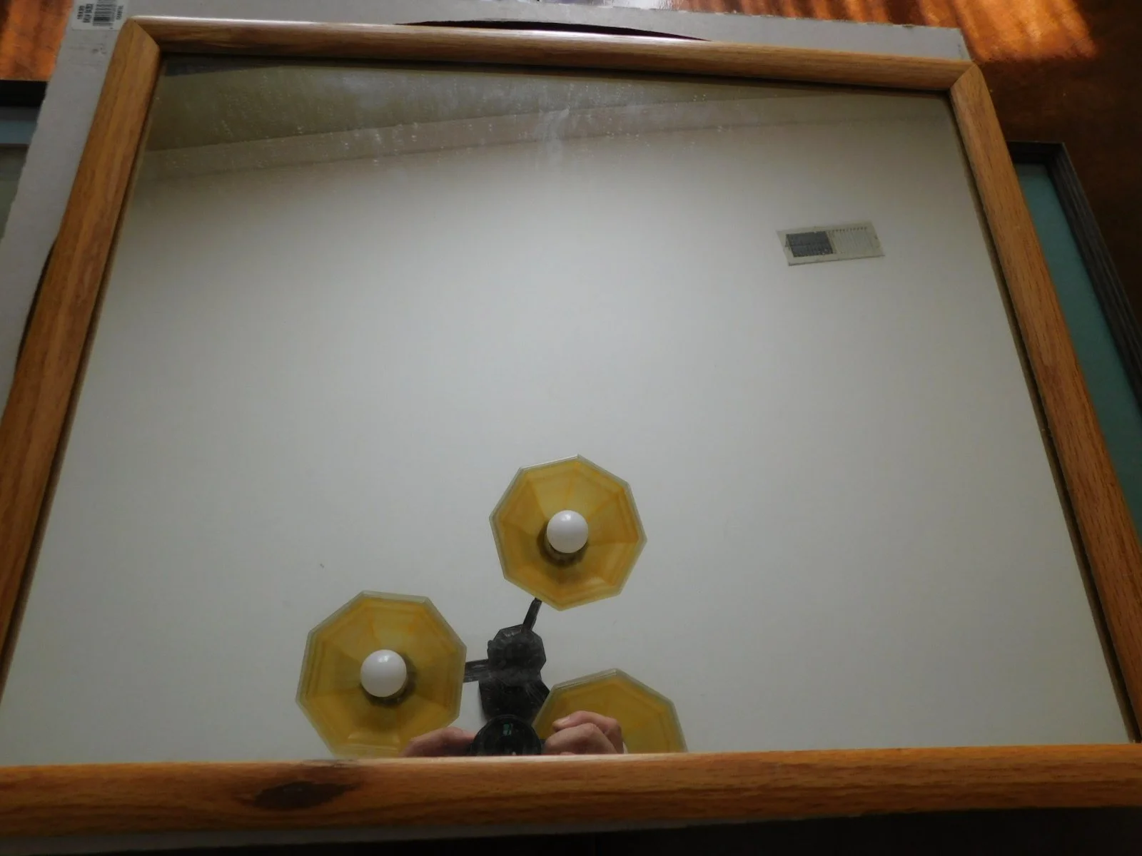 DSCN6728.JPG