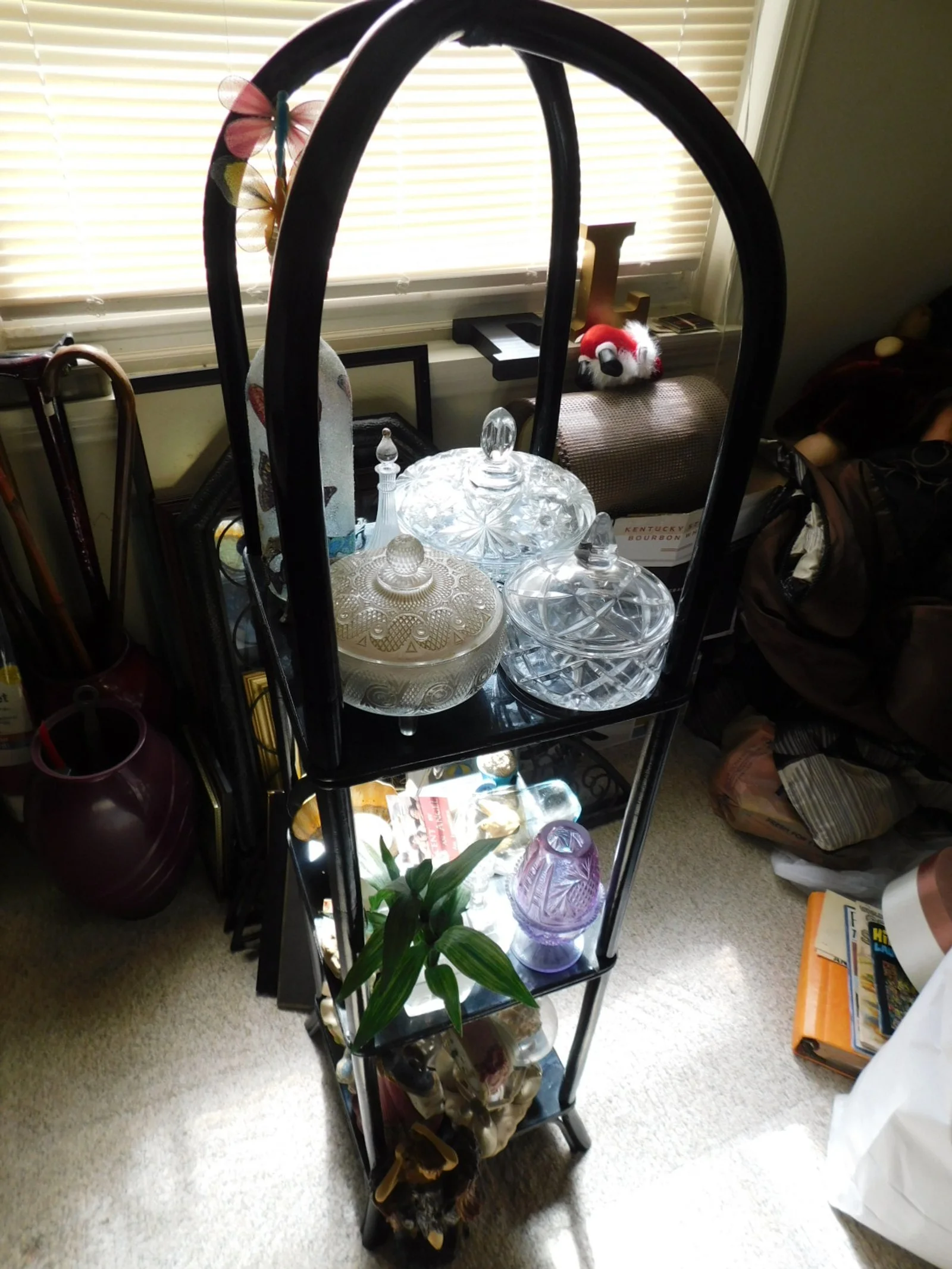 DSCN7011.JPG