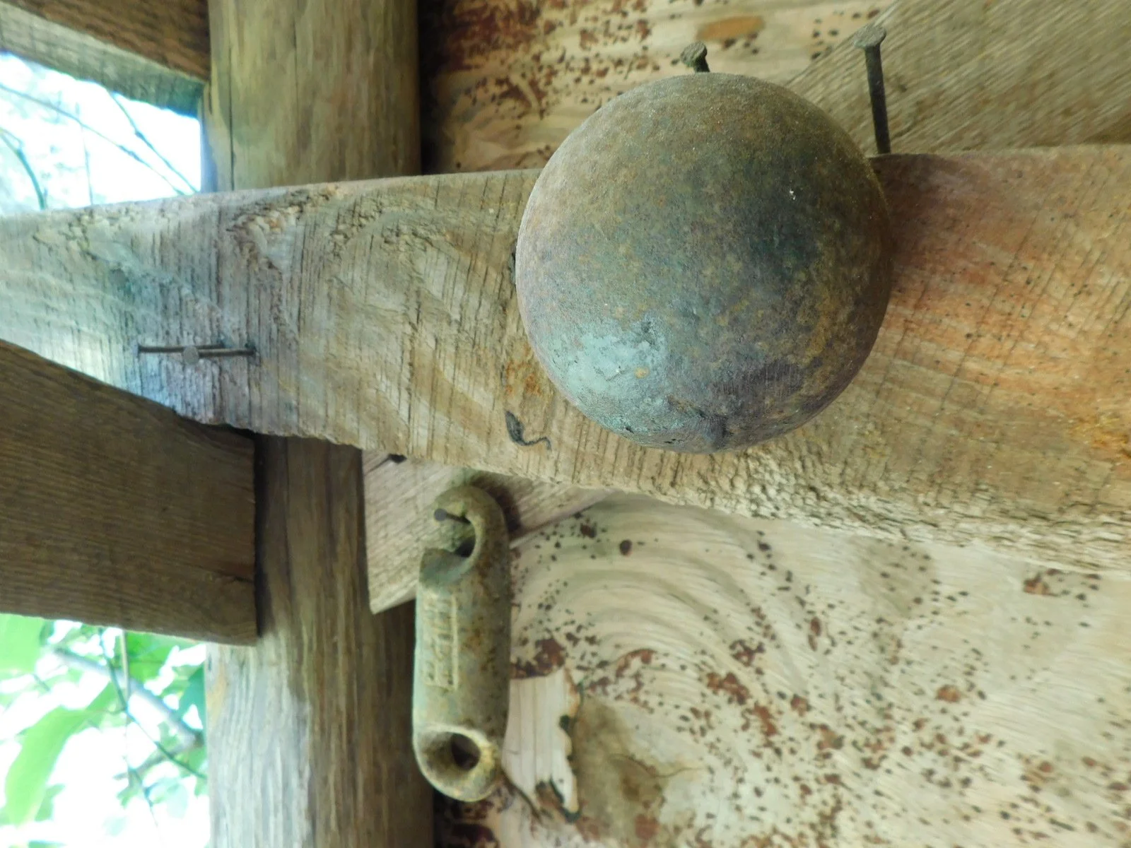 DSCN7316.JPG