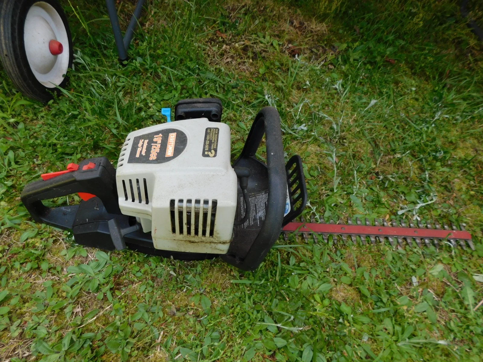 DSCN7354.JPG