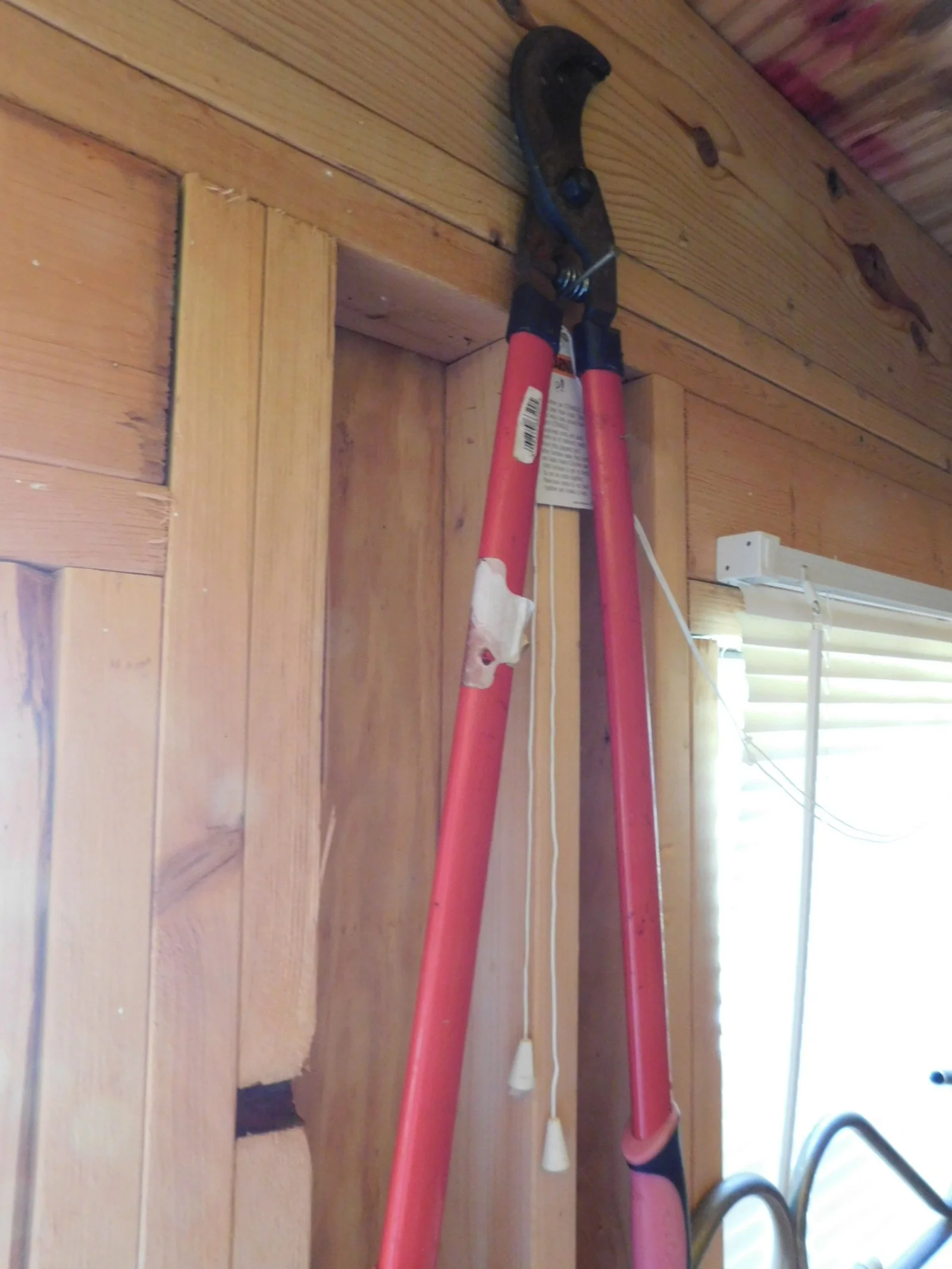 DSCN7362.JPG