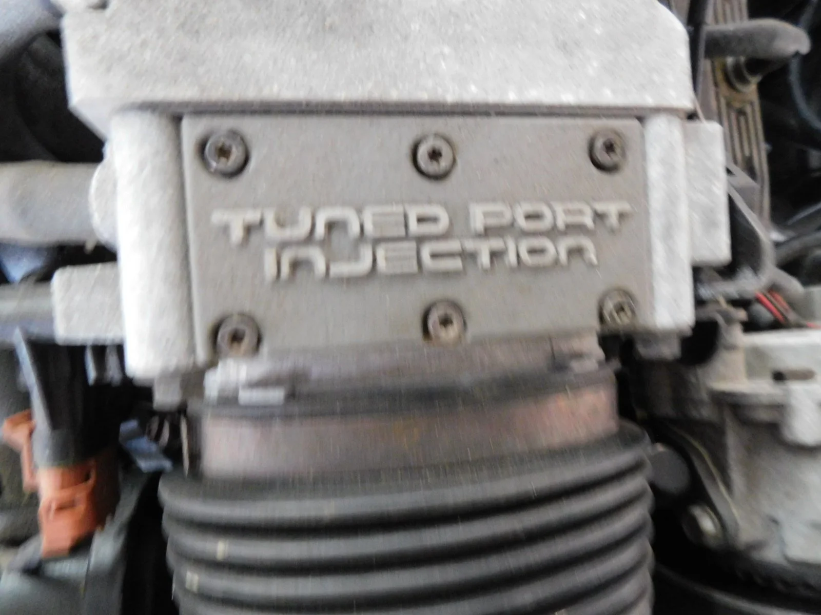 DSCN7385.JPG