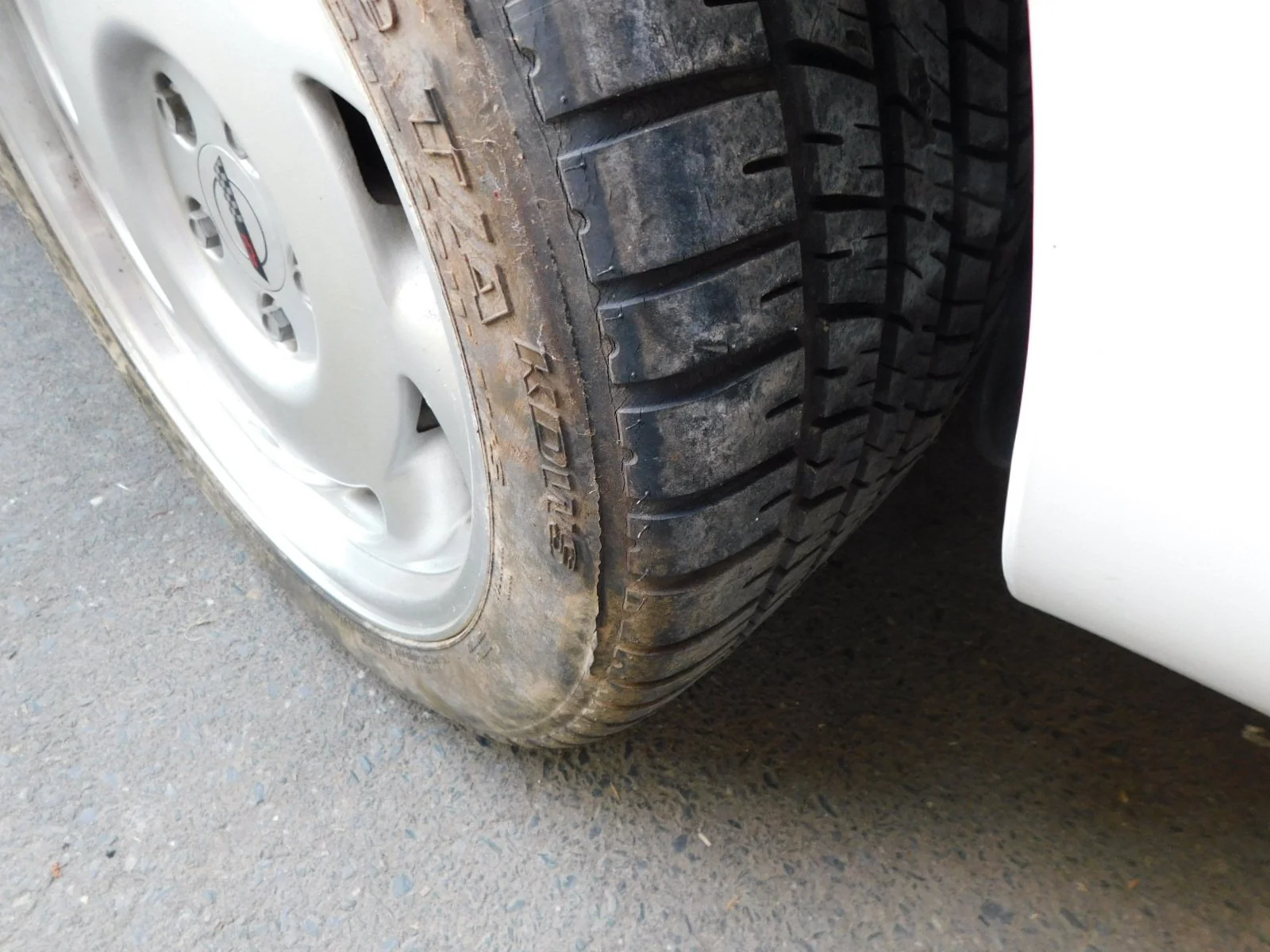 DSCN7408.JPG