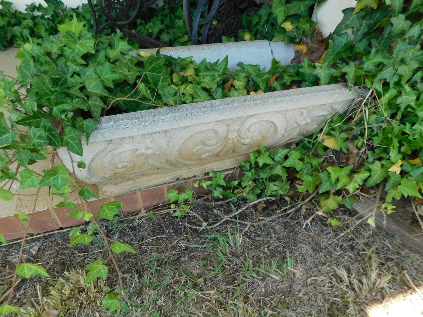 DSCN7604.JPG