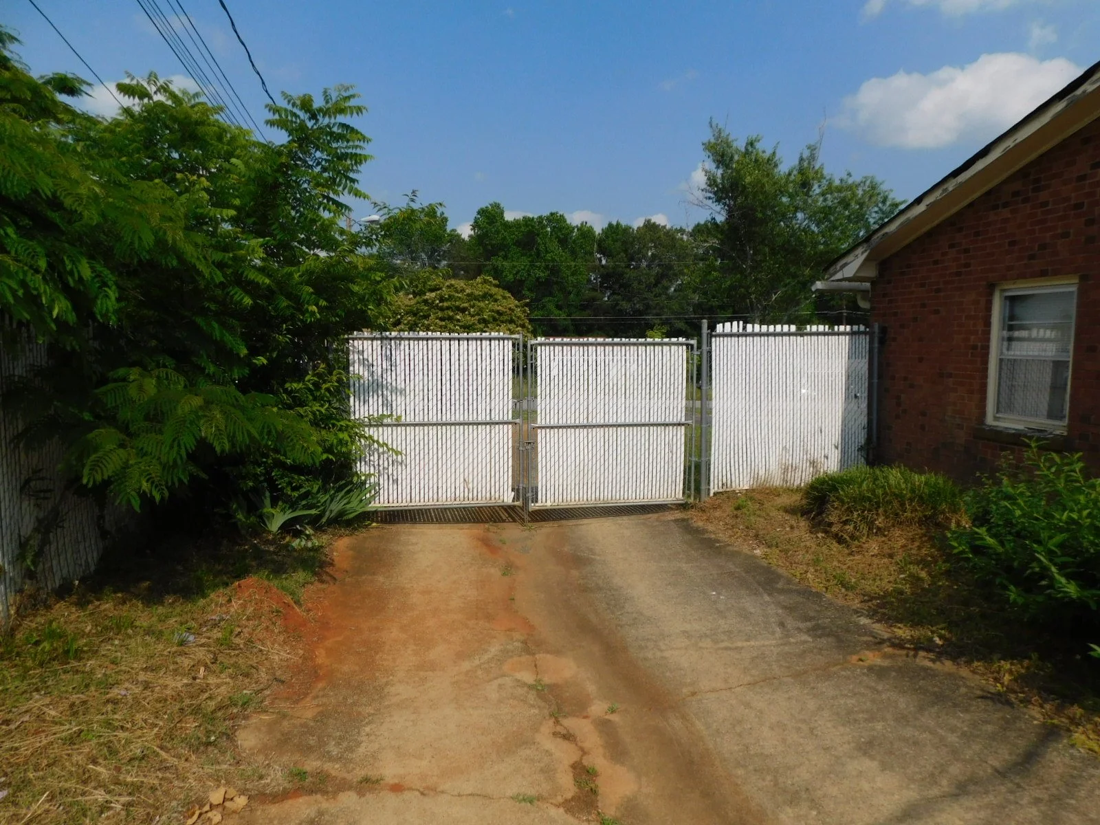 DSCN7435.JPG