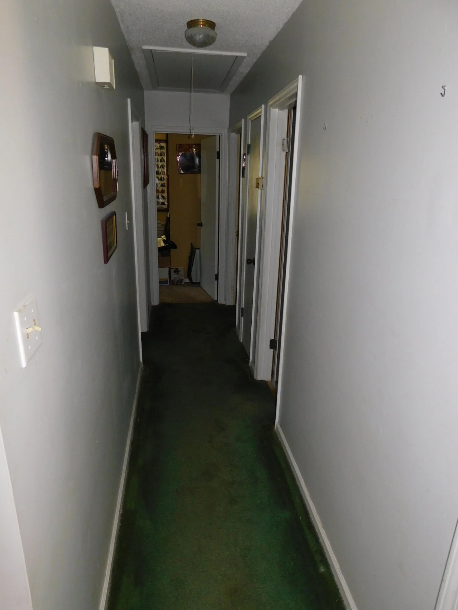 DSCN7815 (38).JPG