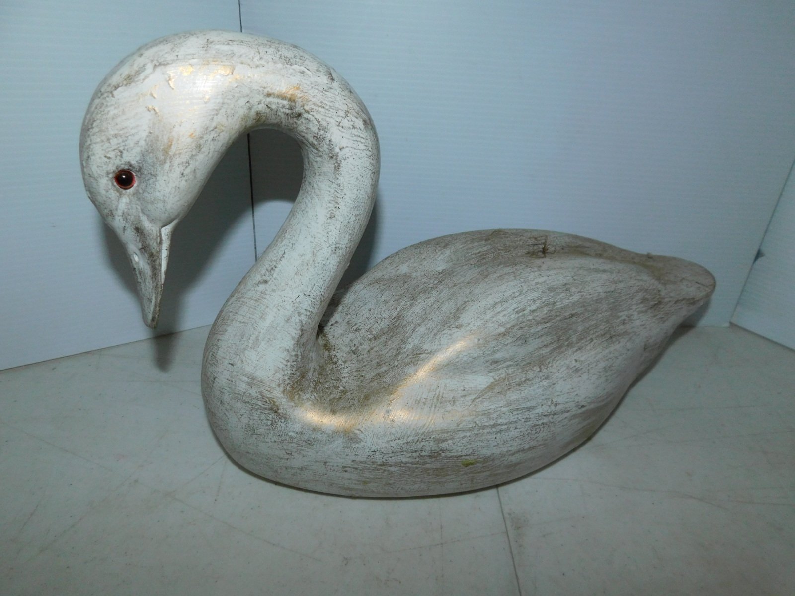 DSCN7906.JPG