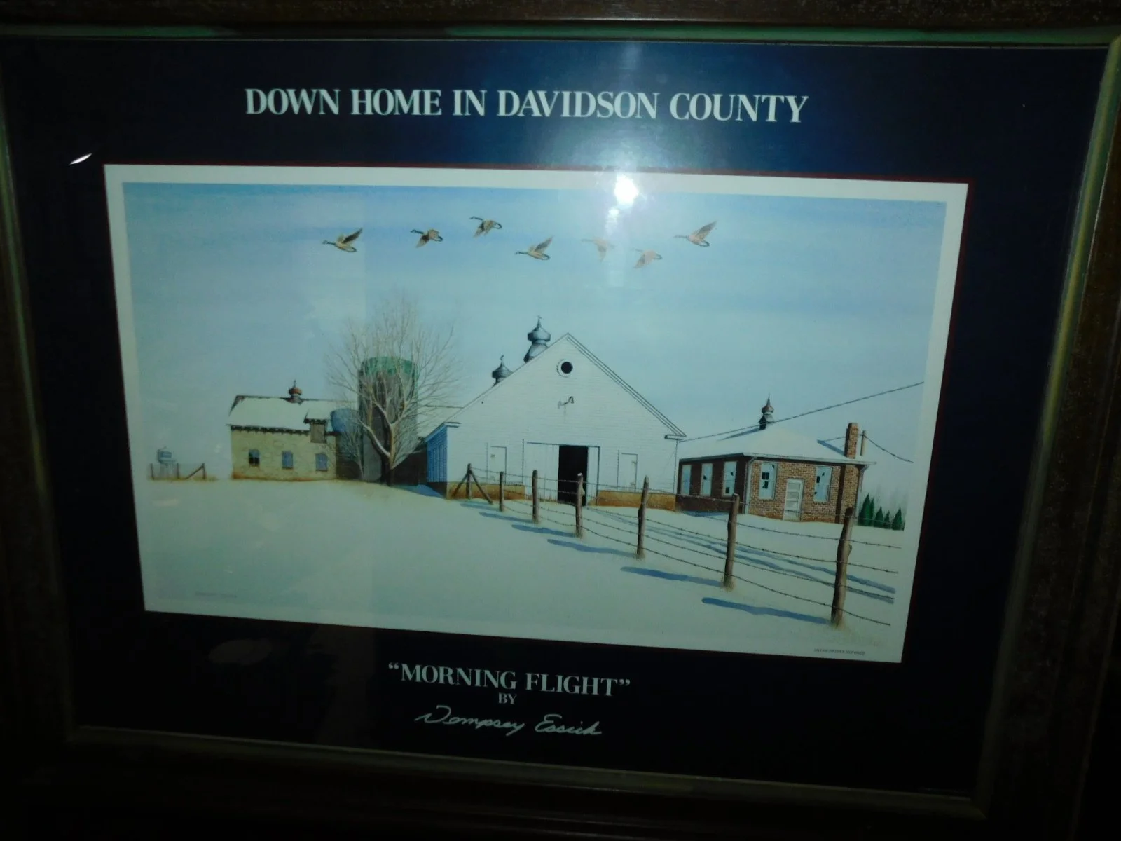 DSCN7916.JPG