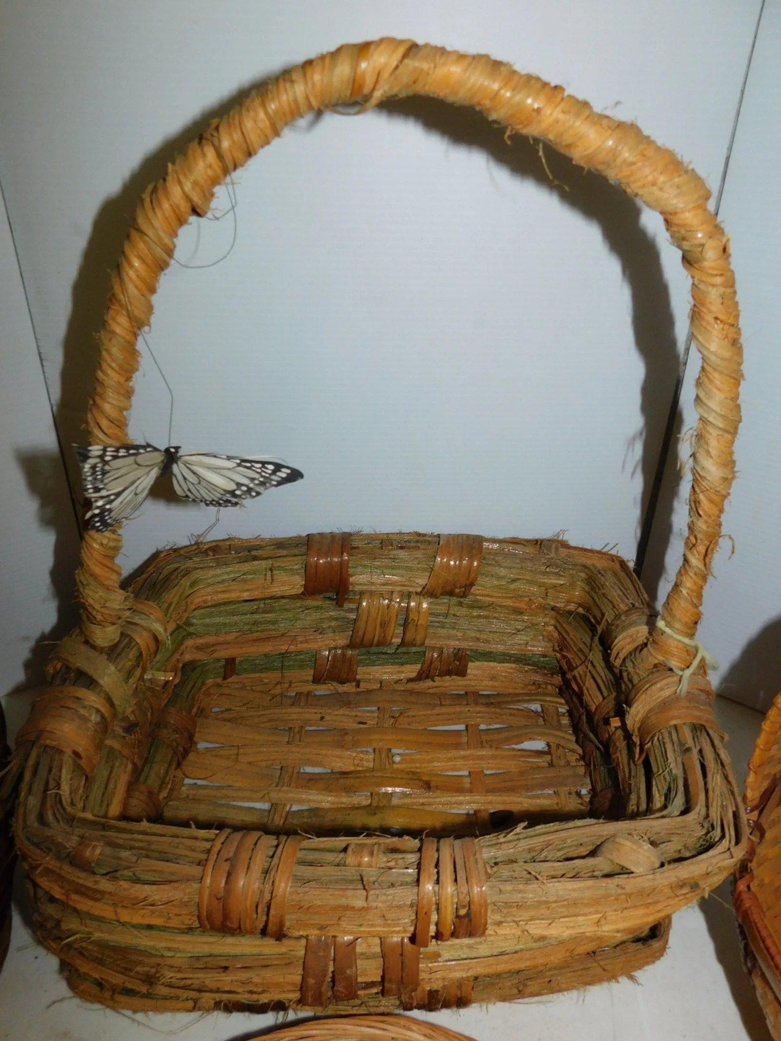 DSCN7952.JPG