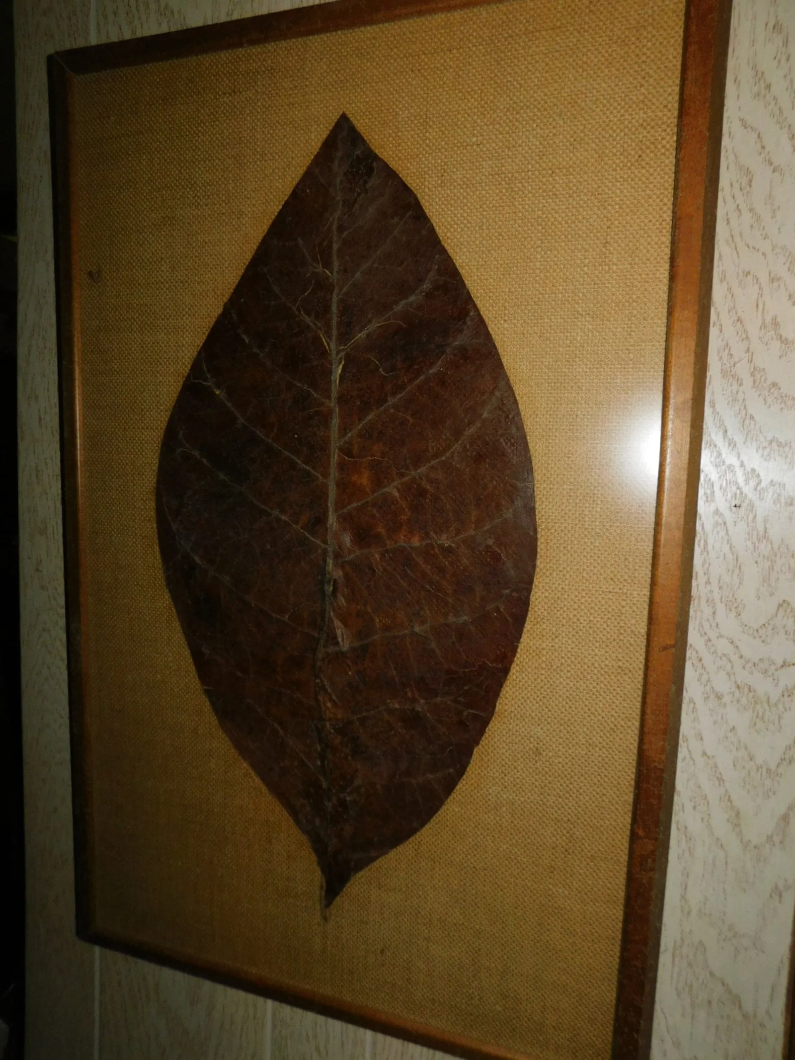 DSCN7975.JPG