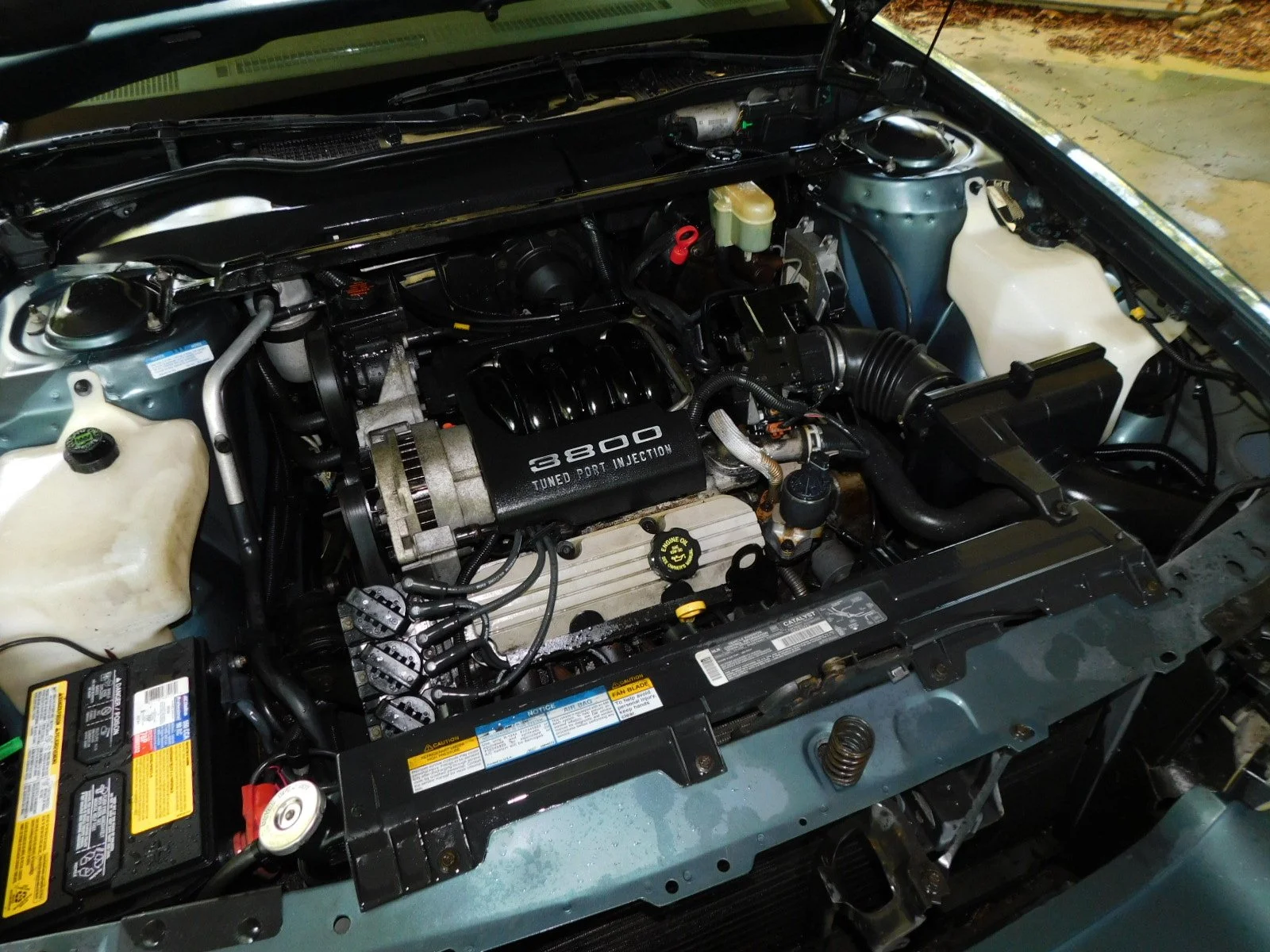DSCN8038.JPG