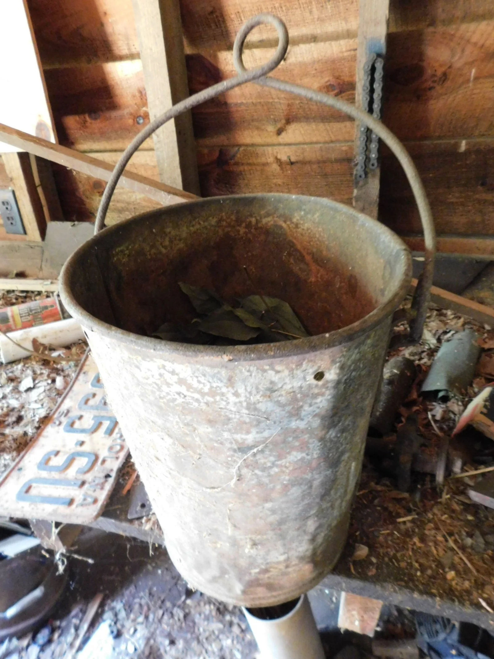 DSCN8056.JPG