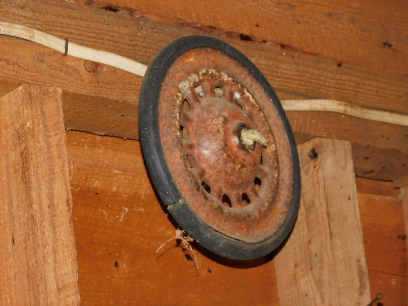 DSCN8065.JPG