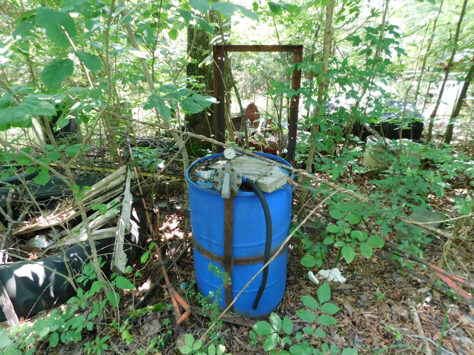 DSCN8085.JPG