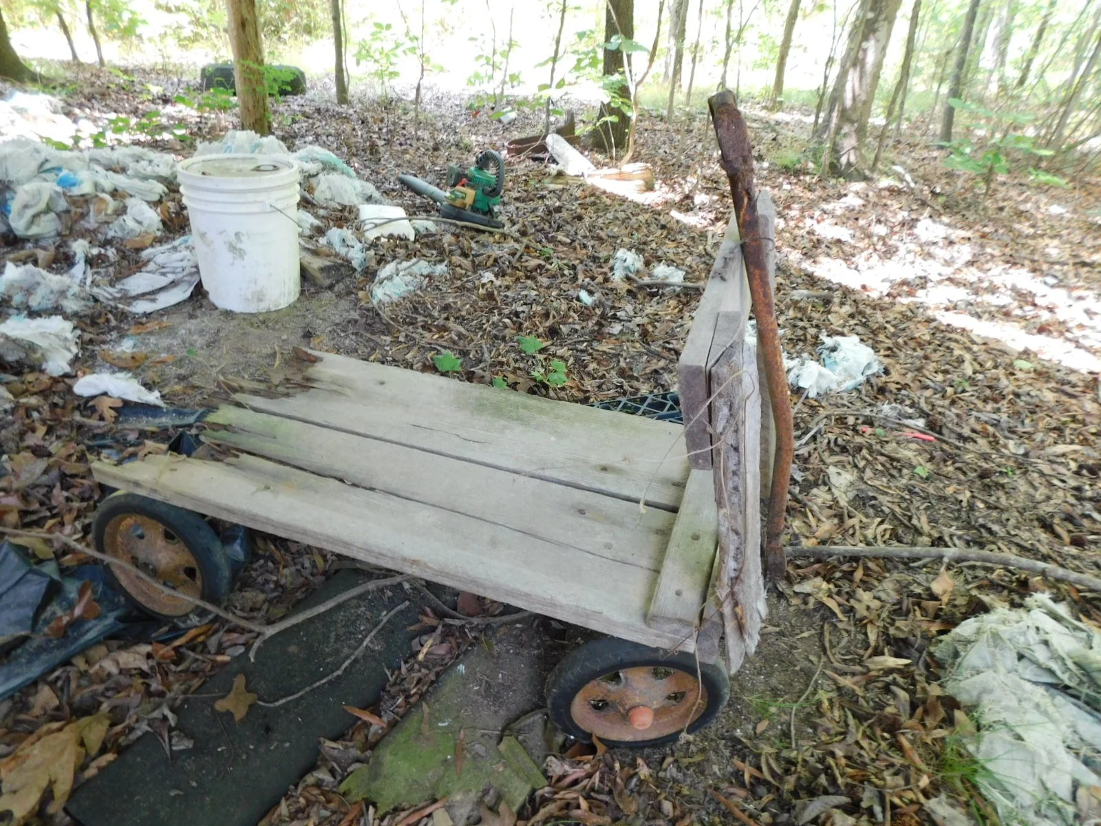 DSCN8088.JPG