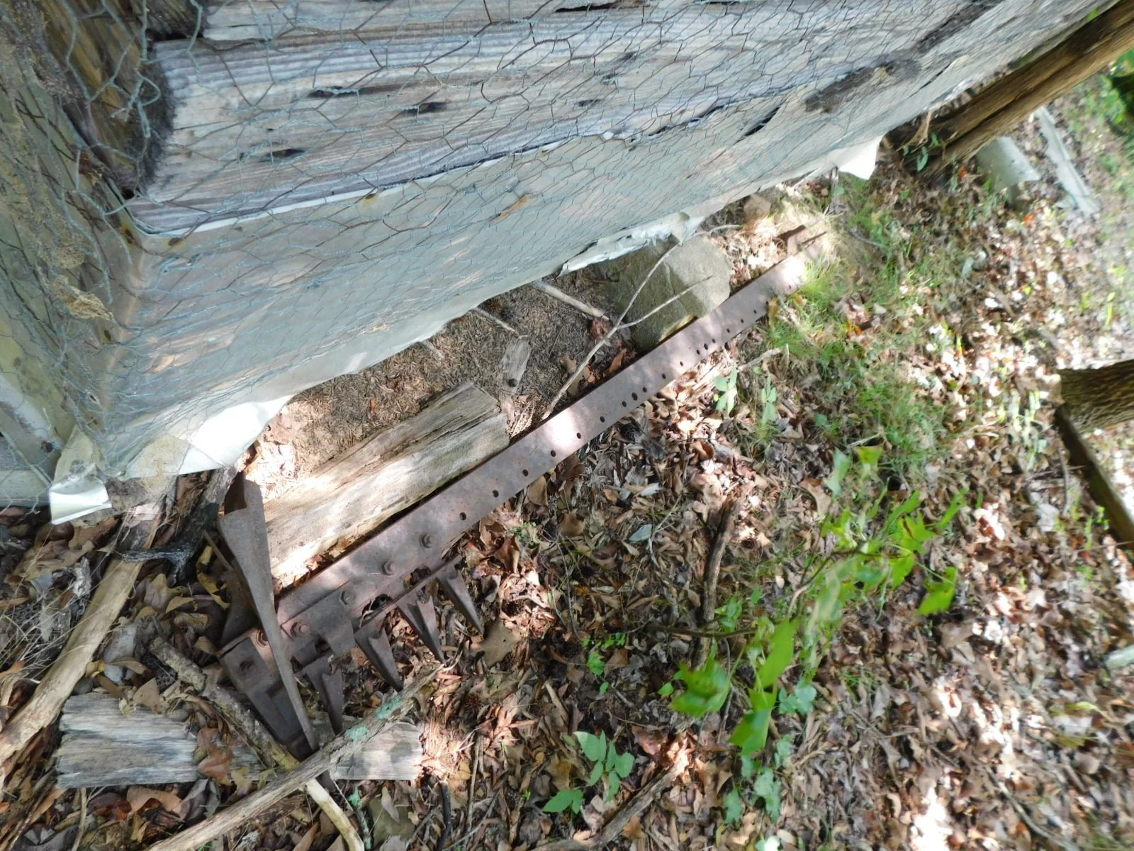 DSCN8091.JPG