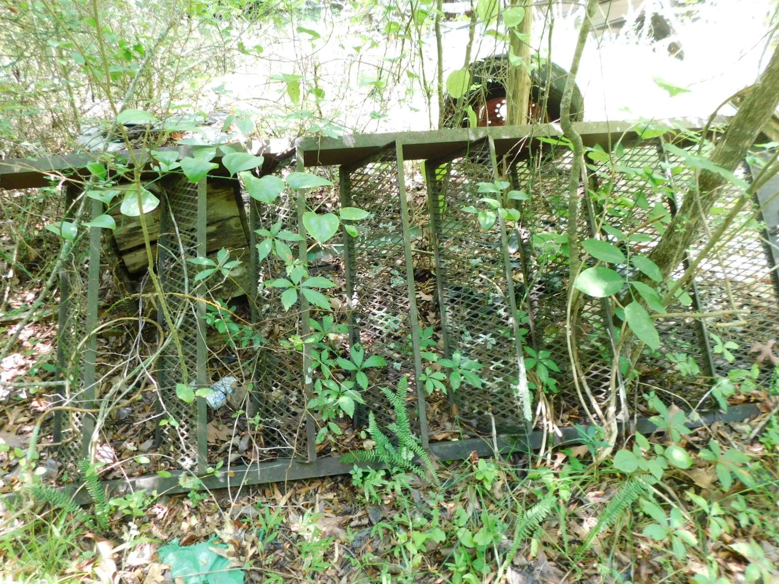 DSCN8095.JPG