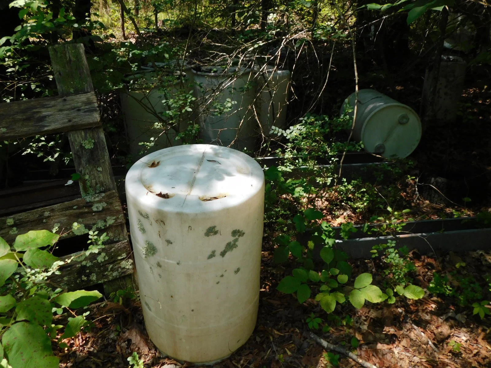DSCN8098.JPG