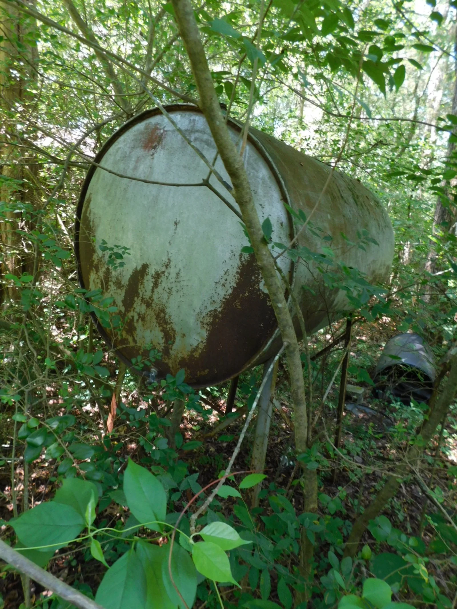 DSCN8103.JPG