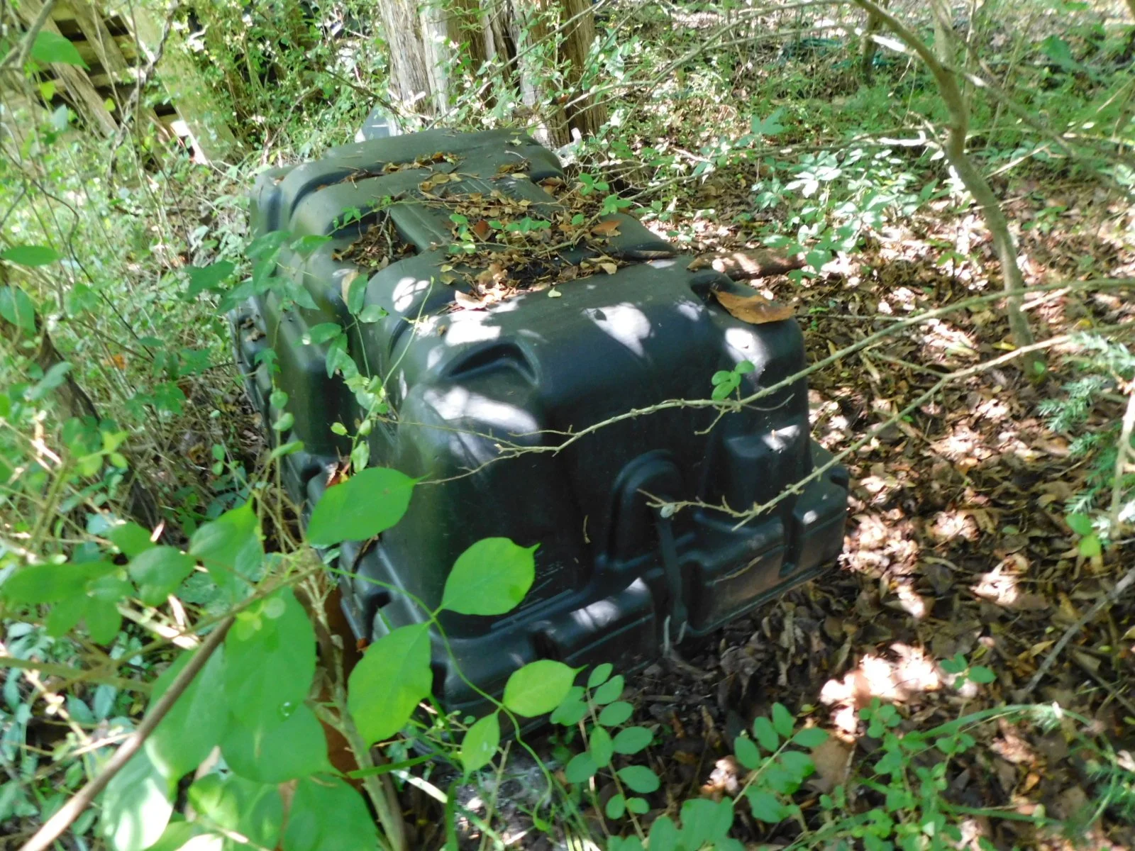 DSCN8104.JPG