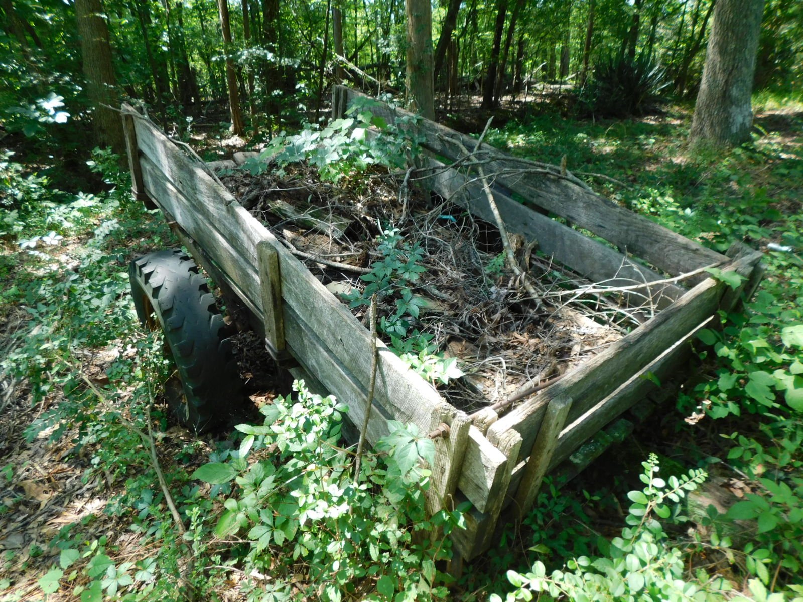DSCN8111.JPG