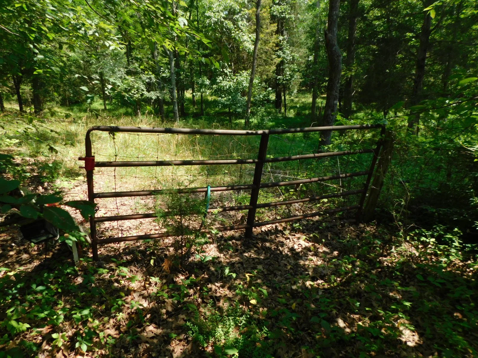 DSCN8113.JPG