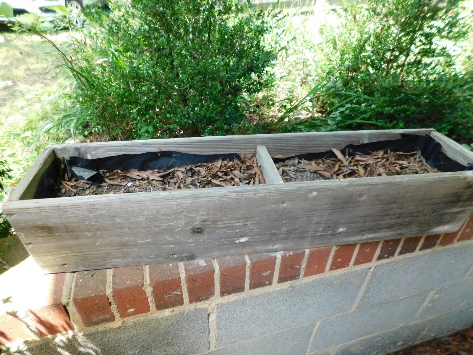 DSCN8120.JPG
