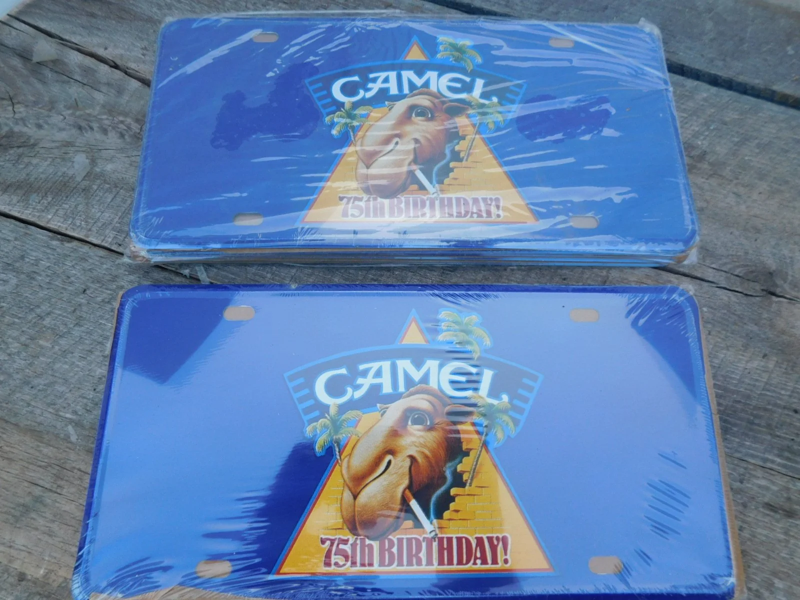 DSCN8198.JPG