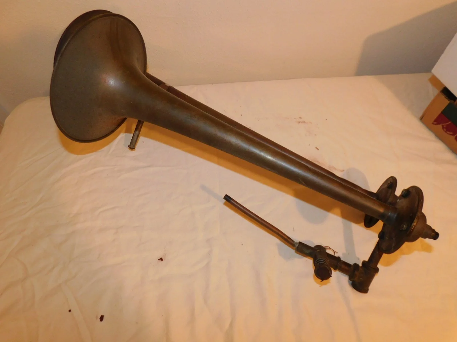 DSCN8686.JPG