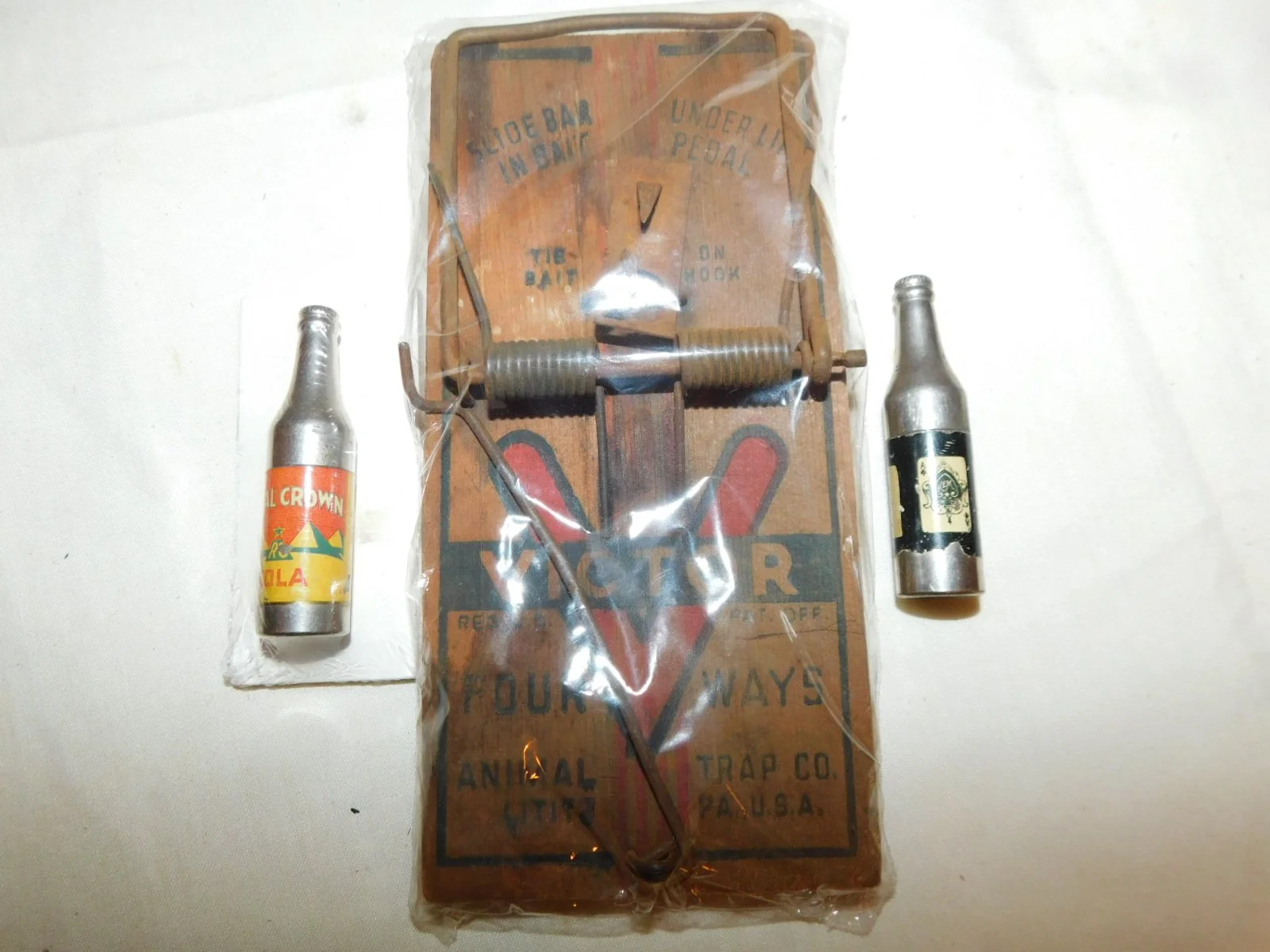 DSCN8772.JPG