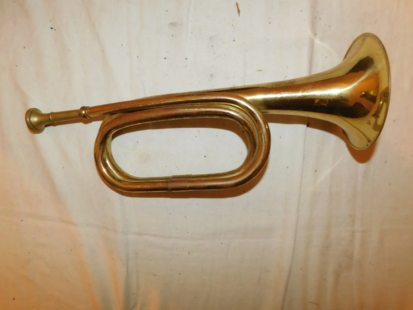 DSCN8802.JPG