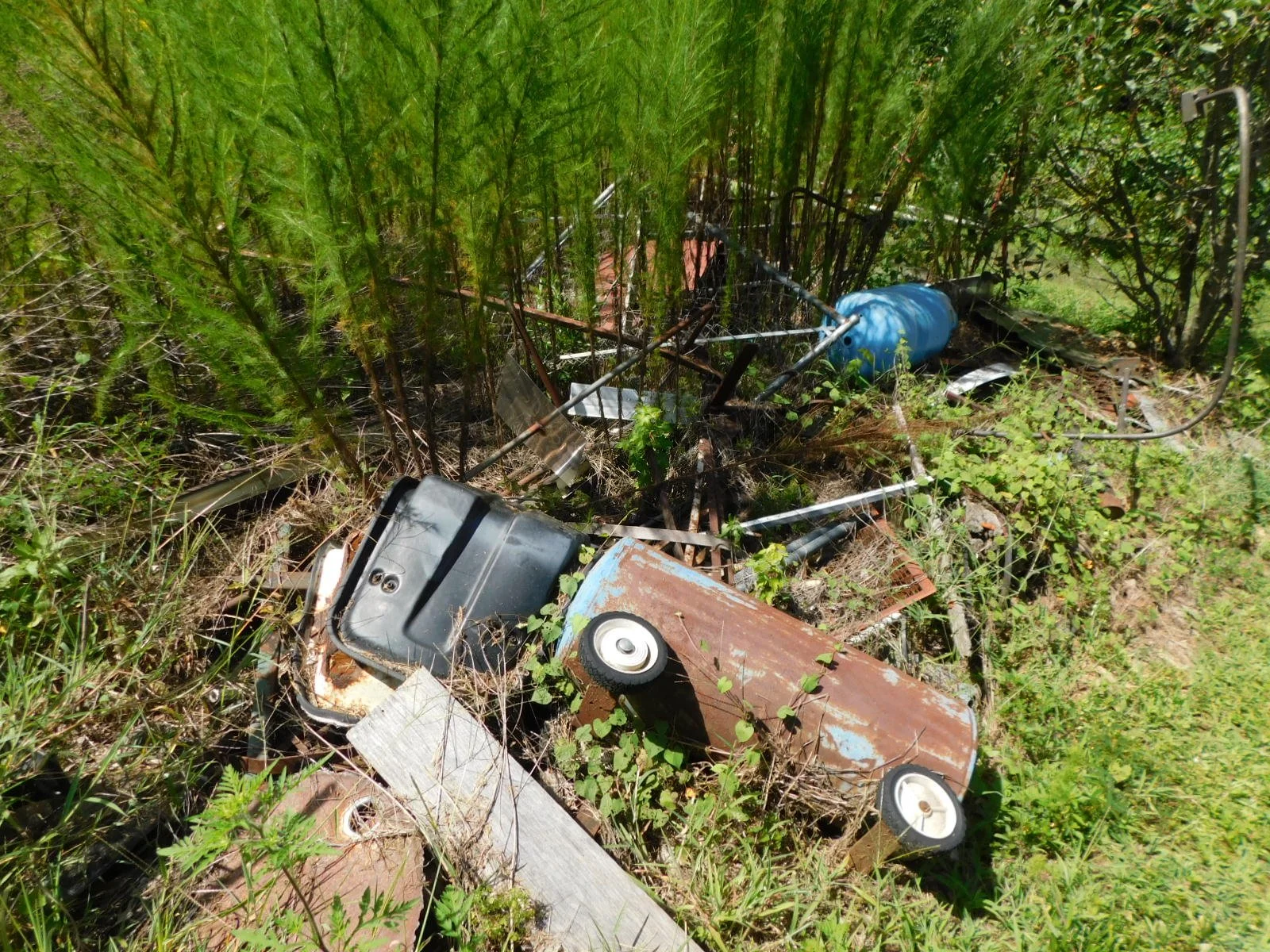 DSCN8878.JPG