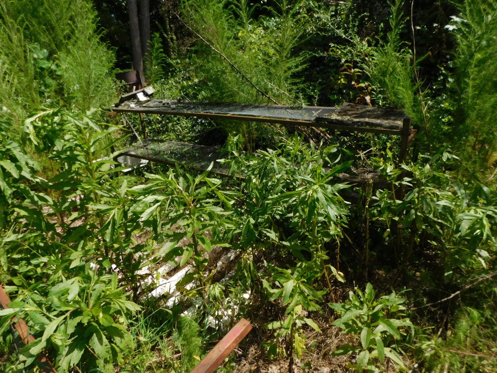 DSCN8880.JPG