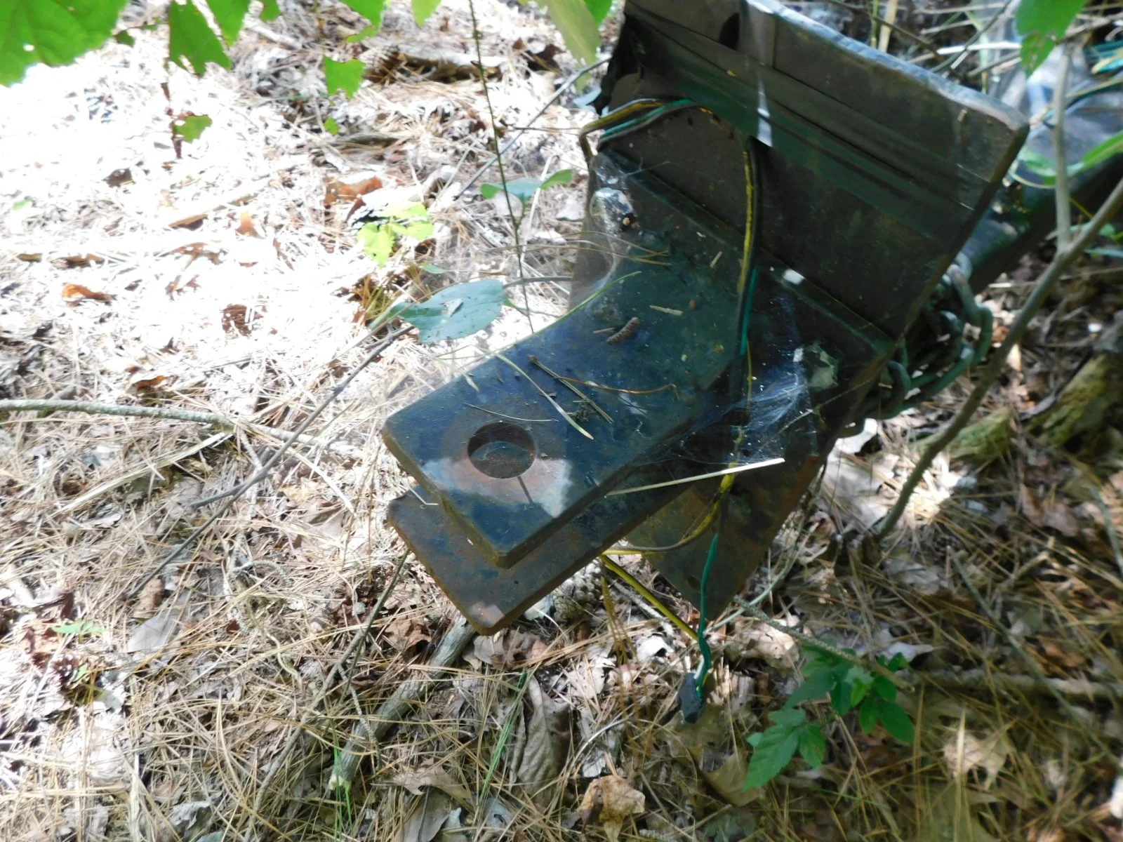 DSCN8897.JPG