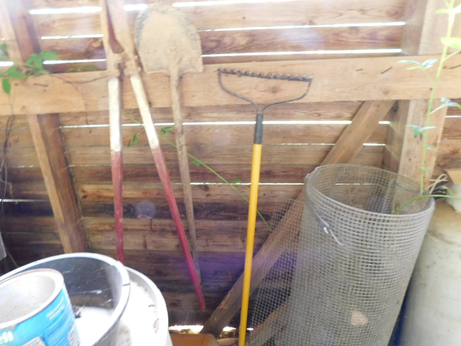 DSCN9026.JPG
