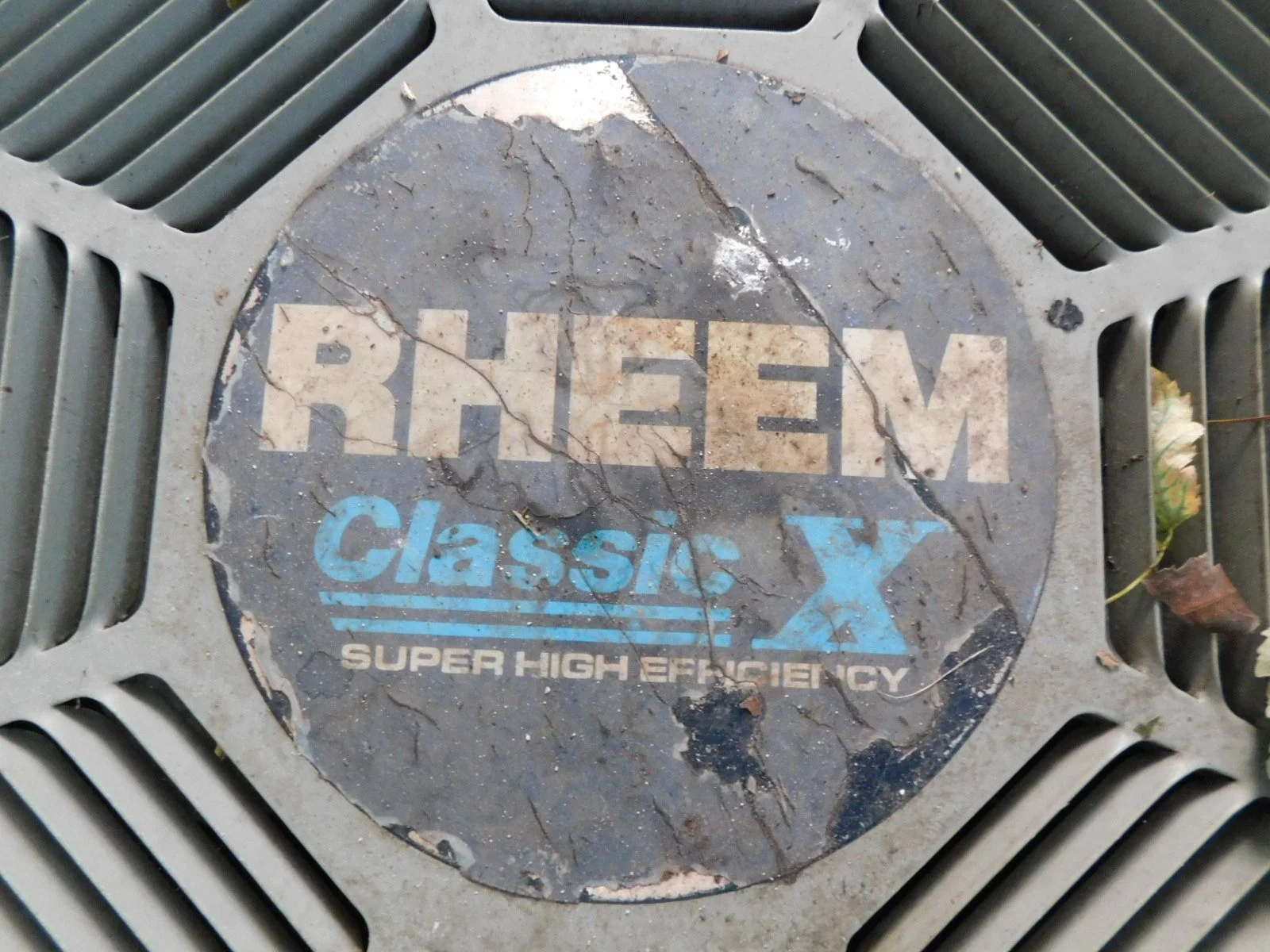 DSCN9083.JPG