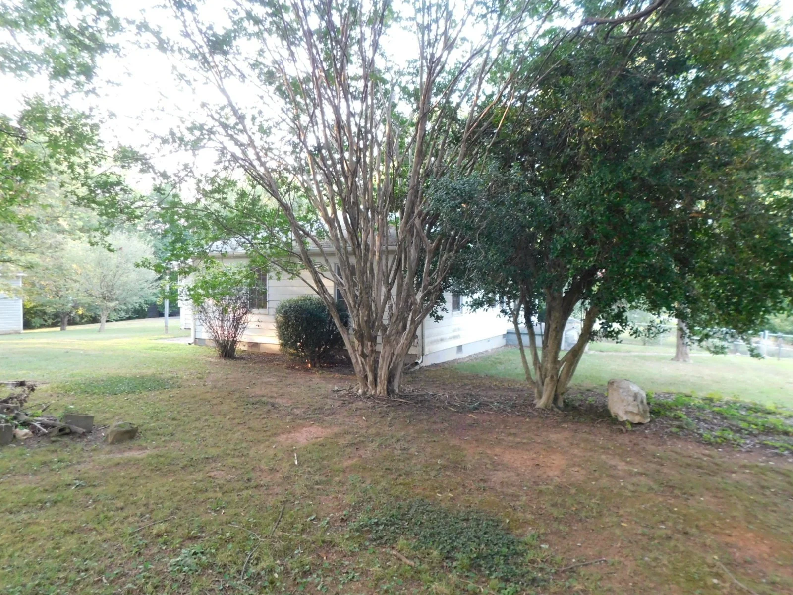 DSCN9092.JPG