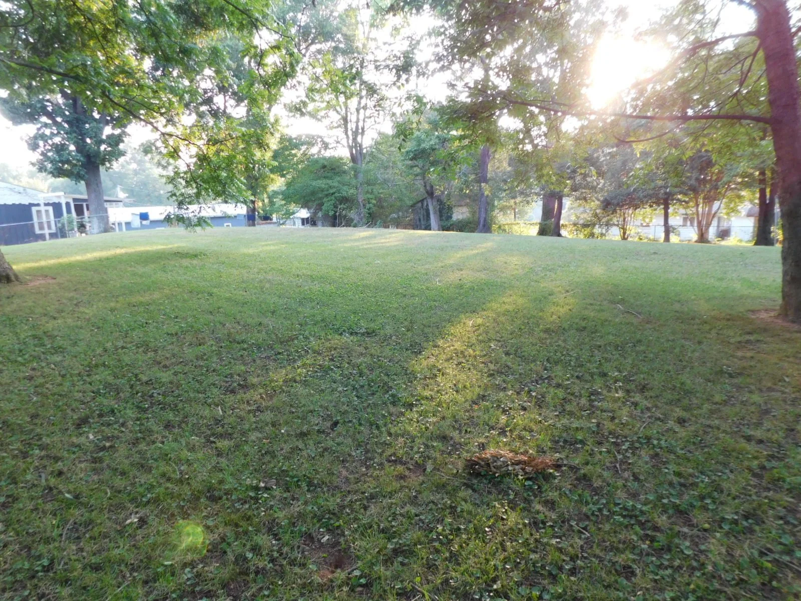 DSCN9093.JPG
