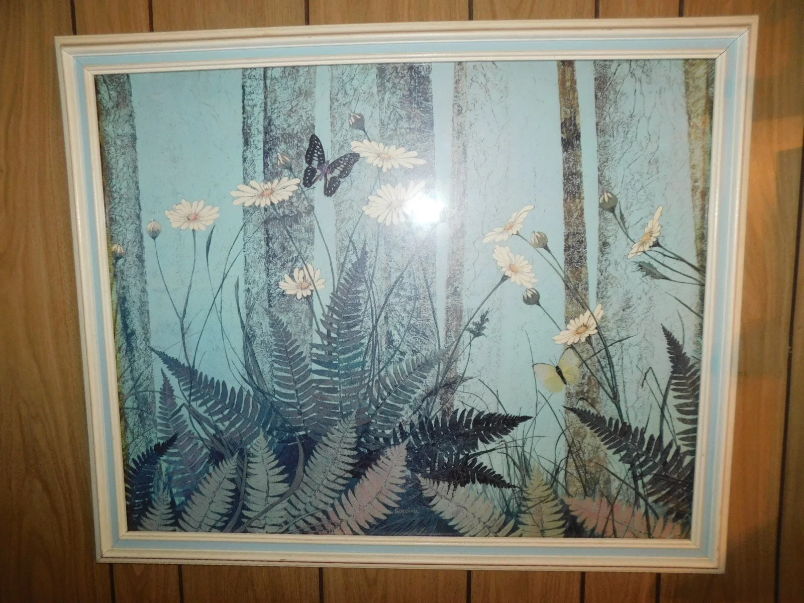 DSCN9183.JPG