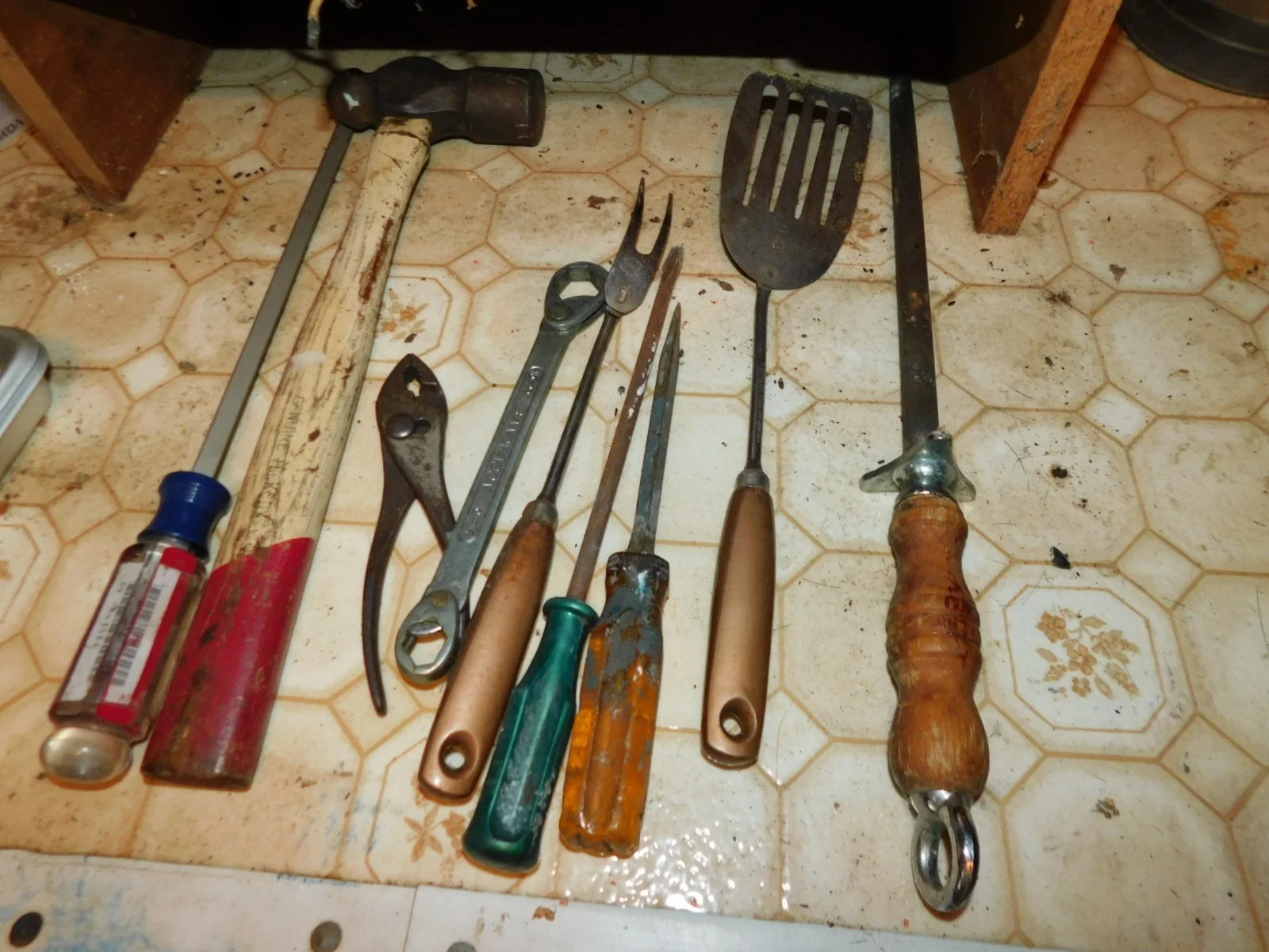 DSCN9206.JPG
