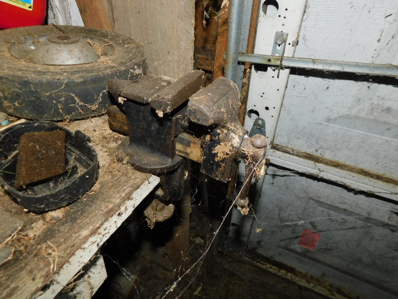 DSCN9220.JPG