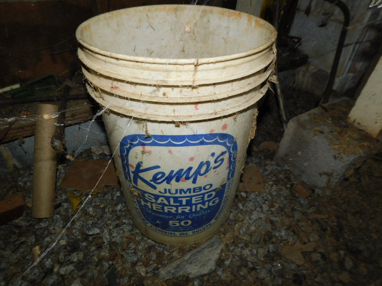 DSCN9227.JPG