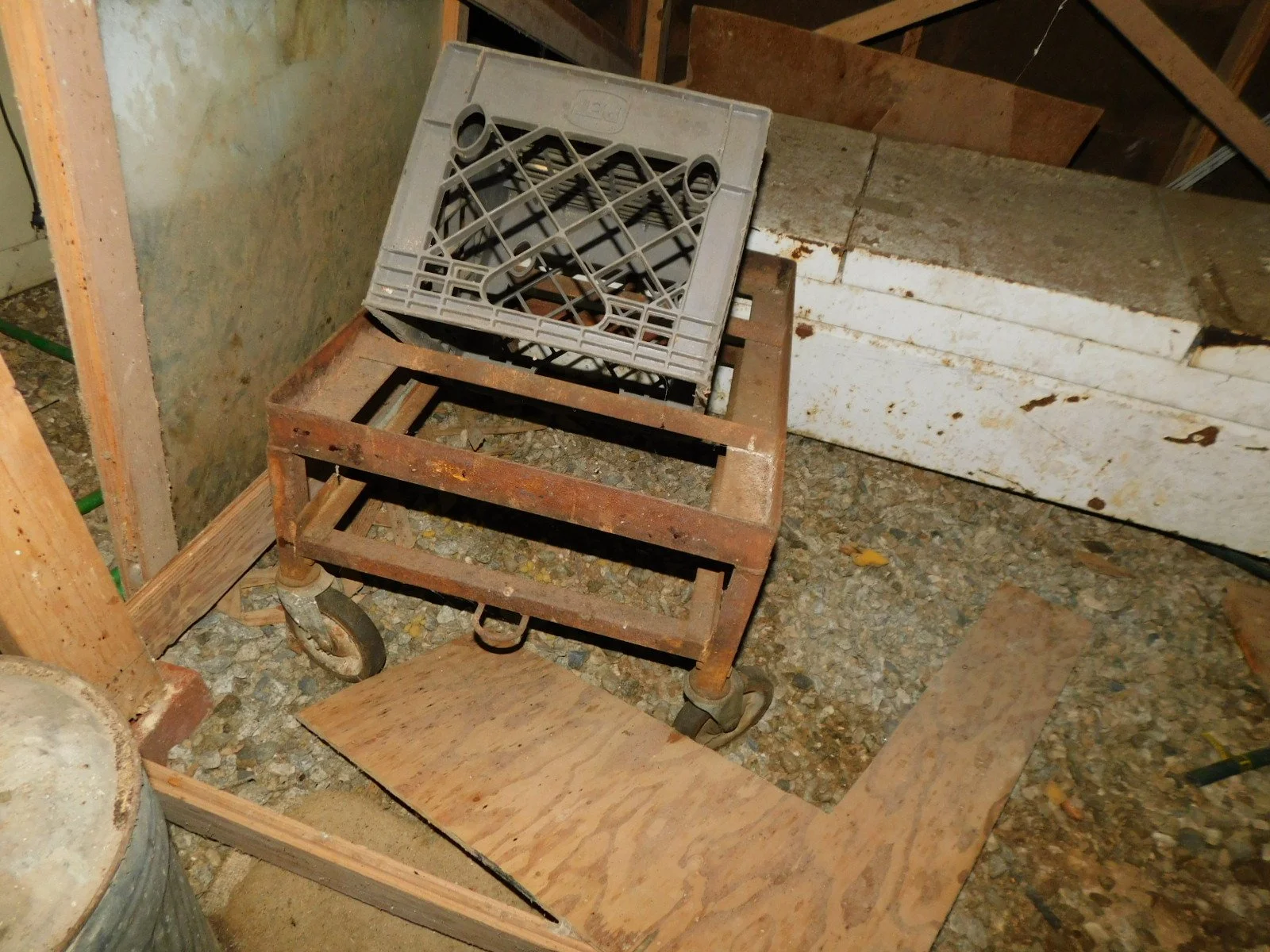DSCN9229.JPG