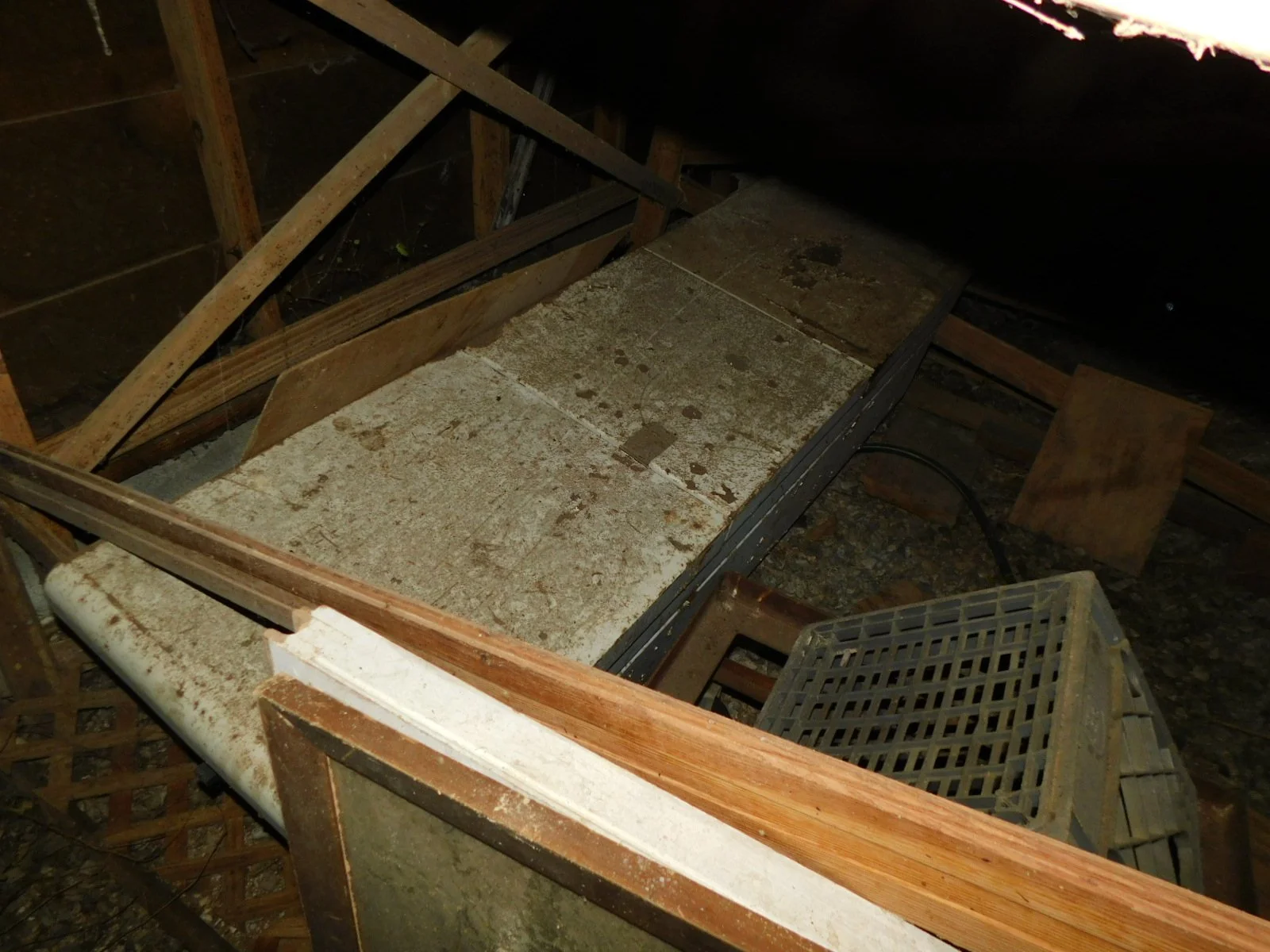 DSCN9232.JPG