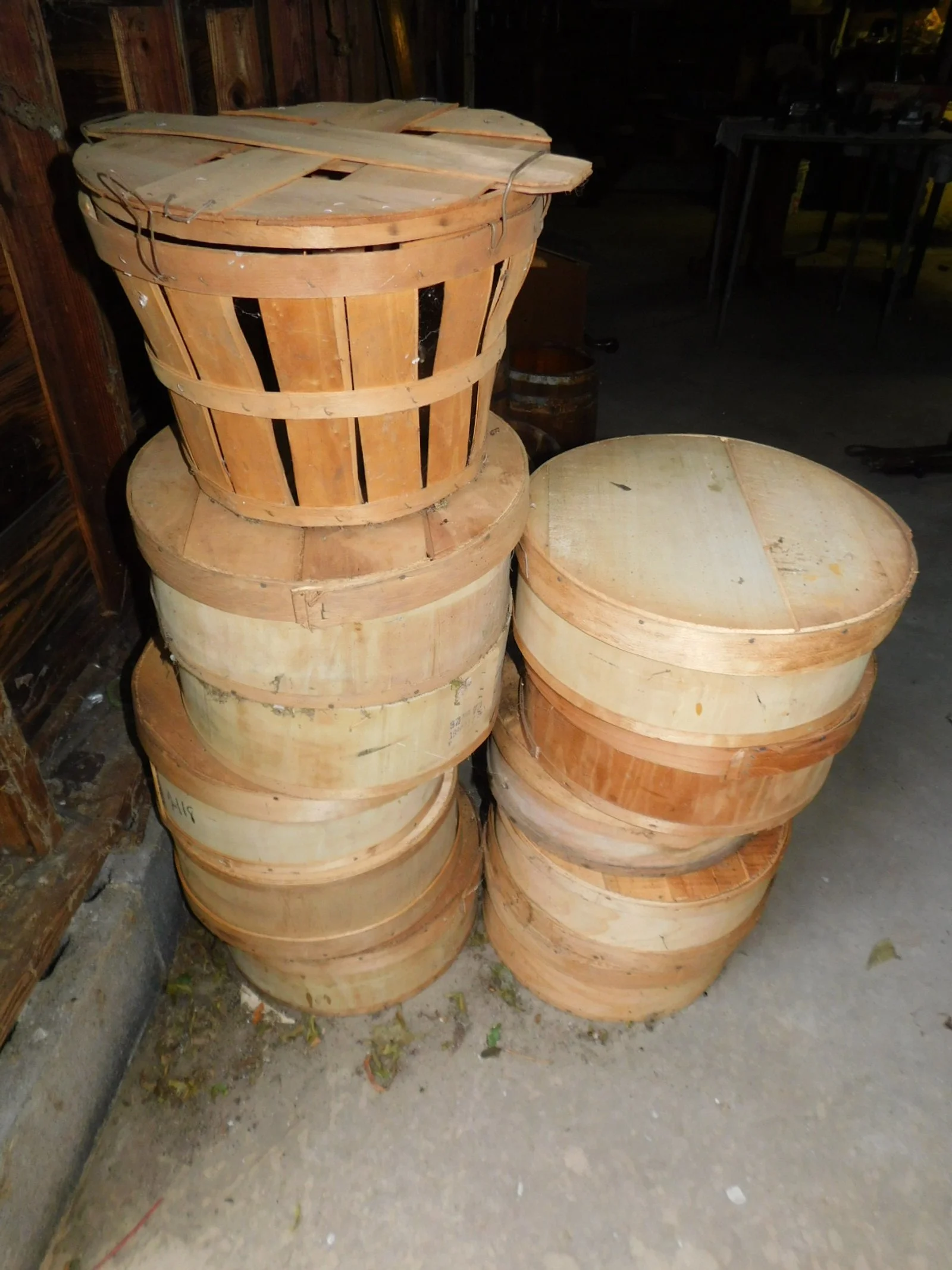 DSCN9250.JPG