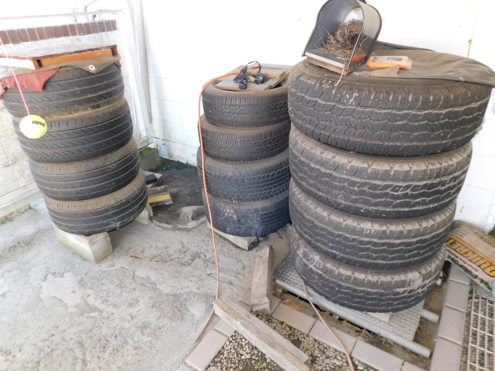 DSCN9635.JPG